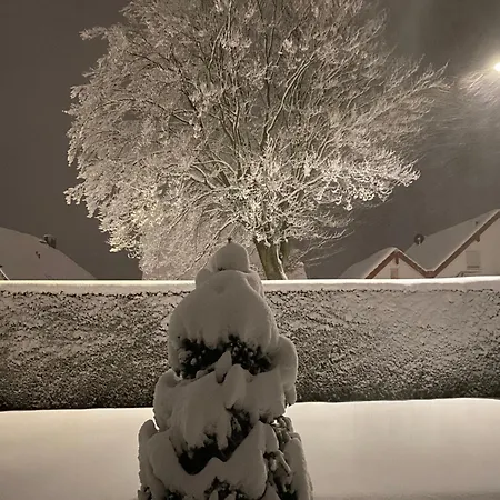 Wunderschoene 
