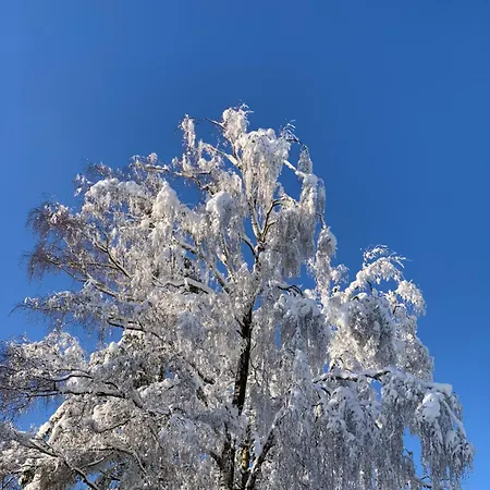 Wunderschoene 