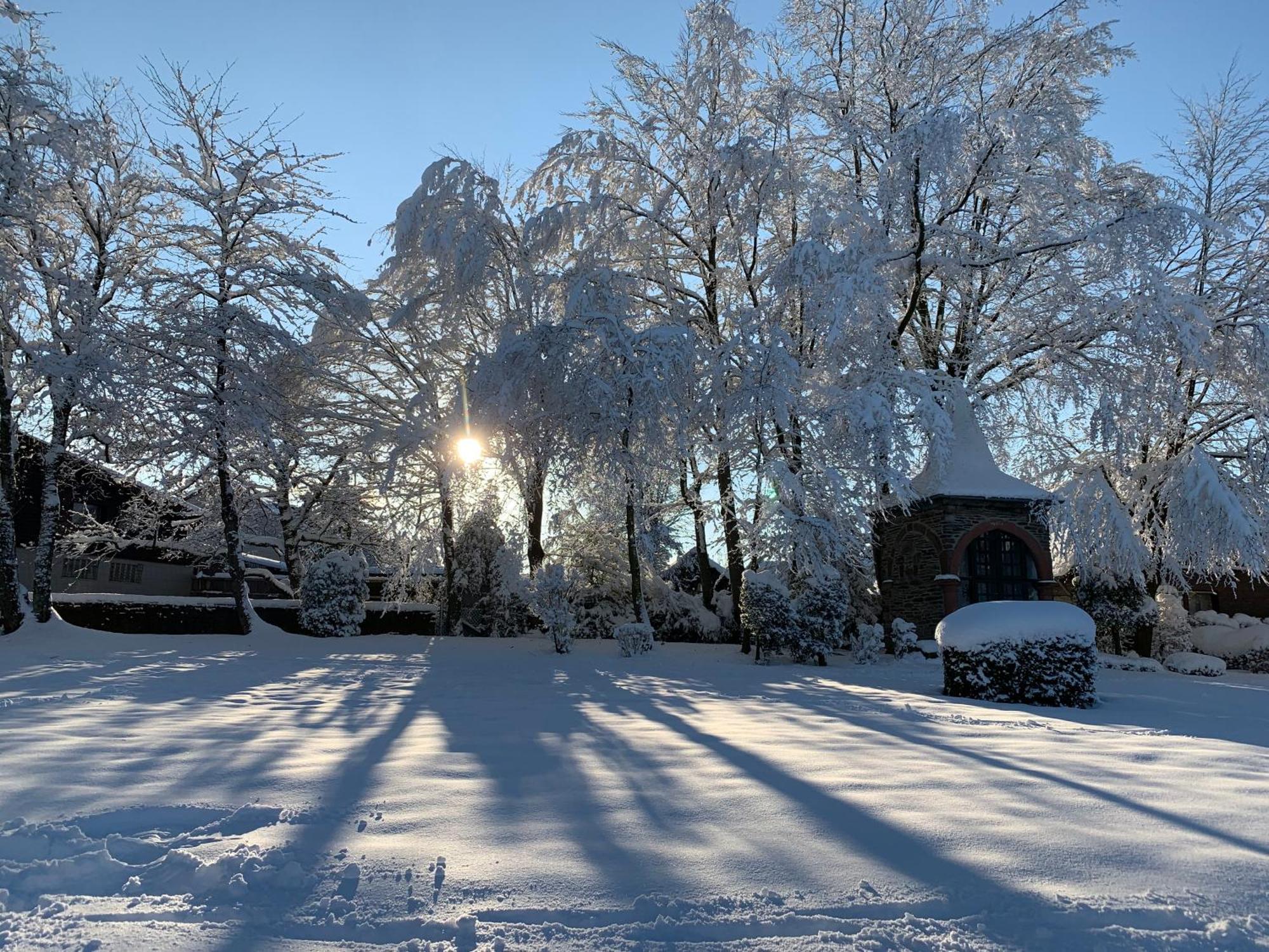 Wunderschoene 